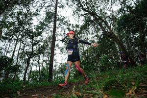 BIB: 406
                            <button type="button" onclick="openModal(22556971)" class="btn btn-primary btn-sm float-right btn-popup" data-toggle="modal" data-target=".modal-high-quality">
                        <i class="fas fa-shopping-cart"></i> Add to Cart
                    </button>
                                            <button type="button" onclick="isThisMe(22556971, true)" class="btn btn-success btn-sm float-right btn-popup btn-isme hidden" data-toggle="tooltip" data-placement="bottom" title="นี่คือรูปของคุณใช่ไหม คลิกที่นี่เพื่อเอาเข้าอัลบั้ม">
                        <i class="fas fa-plus"></i> Add to album
                    </button>
                    <button type="button" onclick="isThisMe(22556971, false)" class="btn btn-warning btn-sm float-right btn-popup btn-isnotme hidden">
                        <i class="fas fa-ban"></i> Remove from album
                    </button>